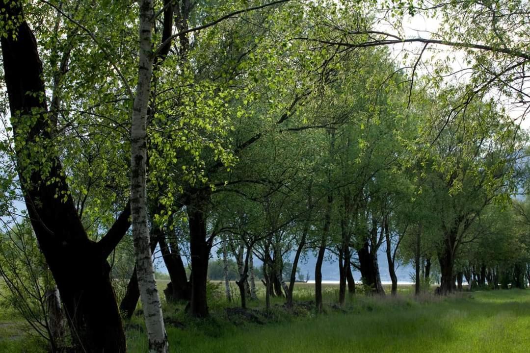 Cascina Borgofrancone Aparthotel Gera Lario Luaran gambar