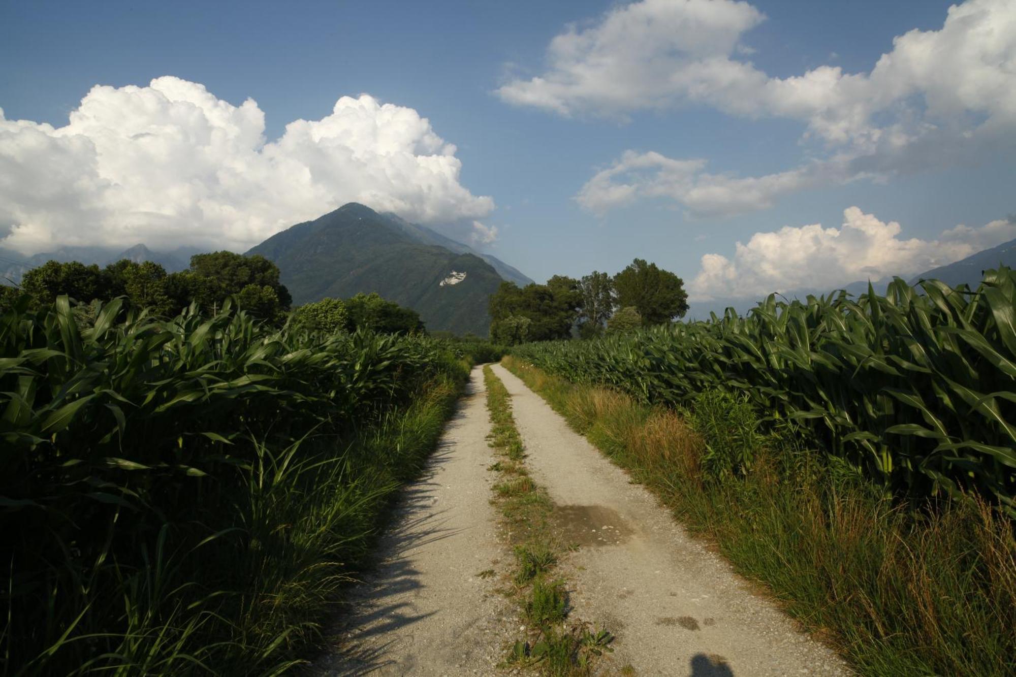 Cascina Borgofrancone Aparthotel Gera Lario Luaran gambar